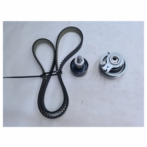 नई समय मरम्मत किट 5300592100 532075310 04e109119f के लिए नई समय मरम्मत किट - Product Image 4