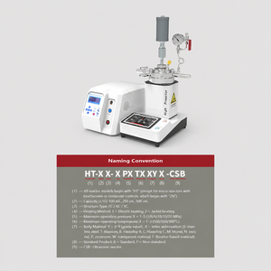 Réacteur de laboratoire de type spécial 316L HT-CSB 12,5 MPa avec disque de <span class=keywords><strong>rupture</strong></span> et manomètre - Product Image 1