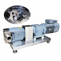 Environmental Grade Stainless Steel Bi-Wing Rotors Pump Electric Personal Liquid Transfer Lobe Pumps For Home Care