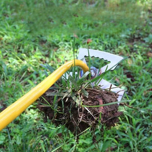 Acciaio al Manganese tirando forcone <span class=keywords><strong>per</strong></span> <span class=keywords><strong>giardinaggio</strong></span> attrezzi agricoli rastrello <span class=keywords><strong>per</strong></span> la rimozione di terreni sciolti ortaggi selvatici pala diserbo strumento più pulito - Product Image 3