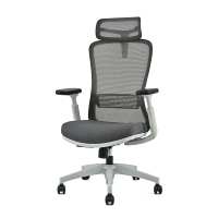 Chaise de bureau moderne à dossier haut en maille avec repose-pieds rétractable, appui-tête 2D, accoudoirs 3D et 3 positions d'inclinaison, ergonomique pour bureau et atelier