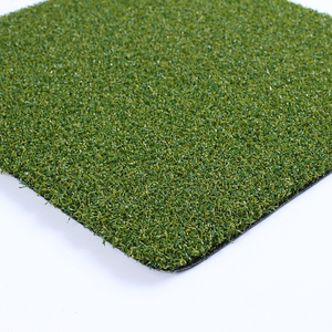 Césped Artificial <span class=keywords><strong>para</strong></span> Putting Green |   Césped y <span class=keywords><strong>Semillas</strong></span> <span class=keywords><strong>de</strong></span> Bentgrass <span class=keywords><strong>para</strong></span> Control <span class=keywords><strong>de</strong></span> Velocidad en Campos <span class=keywords><strong>de</strong></span> Golf Profesionales - Product Image 6