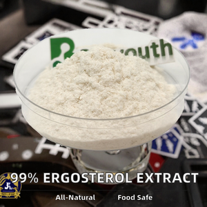 Ergosterol 99% Puro y Natural, Extracto Herbal en Polvo de Aloe Vera, Grado Cosmético, Empacado en Tambor - Product Image 3