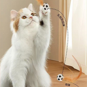 Feather Cat Toy <b>Ball</b> Basketball <b>Baseball</b> Football Design Boredom Buster For Cats Interactive Play - Product Image 2