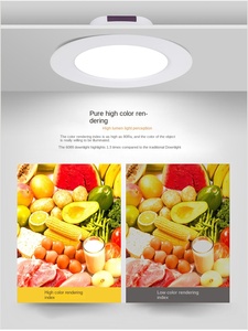 Proyecto de hotel Surrounds Lighting Commercial Cob Spot Fixture Downlight Luz LED empotrada con cuerpo de aluminio - Product Image 6