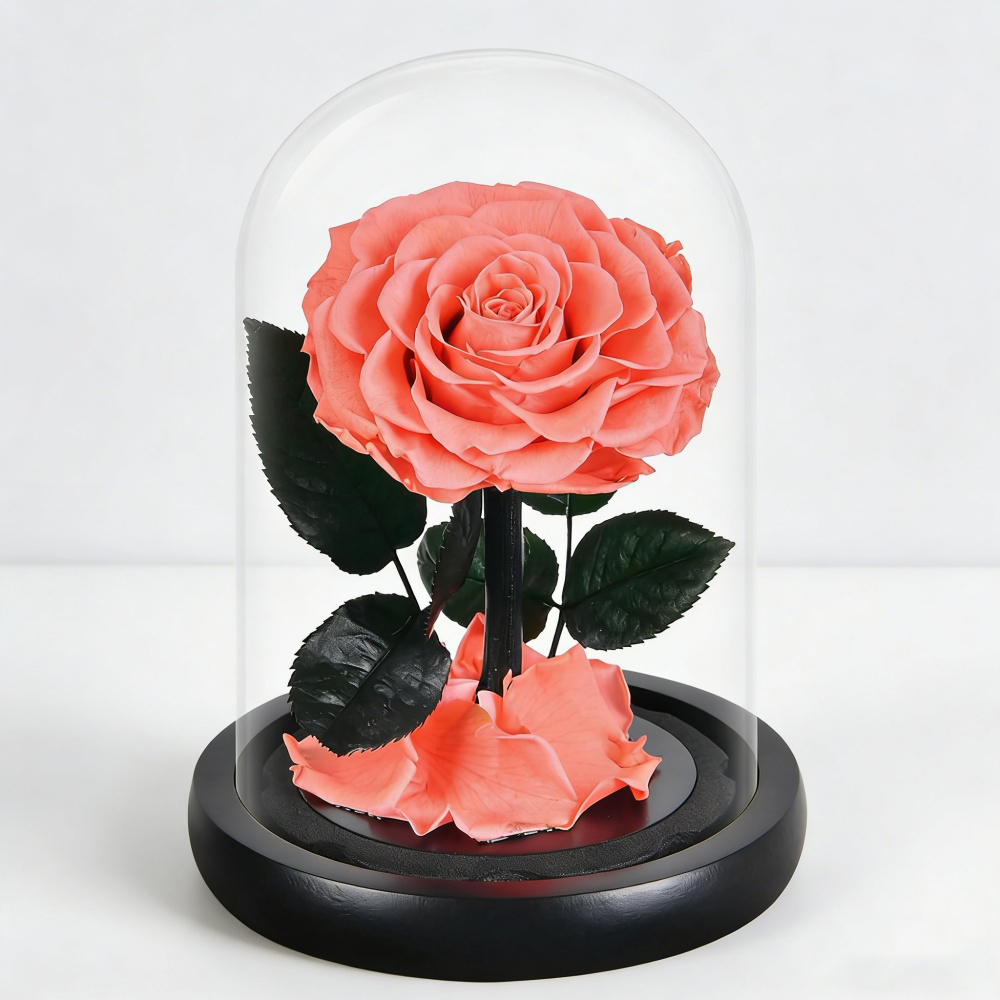 Mini rose 10*18