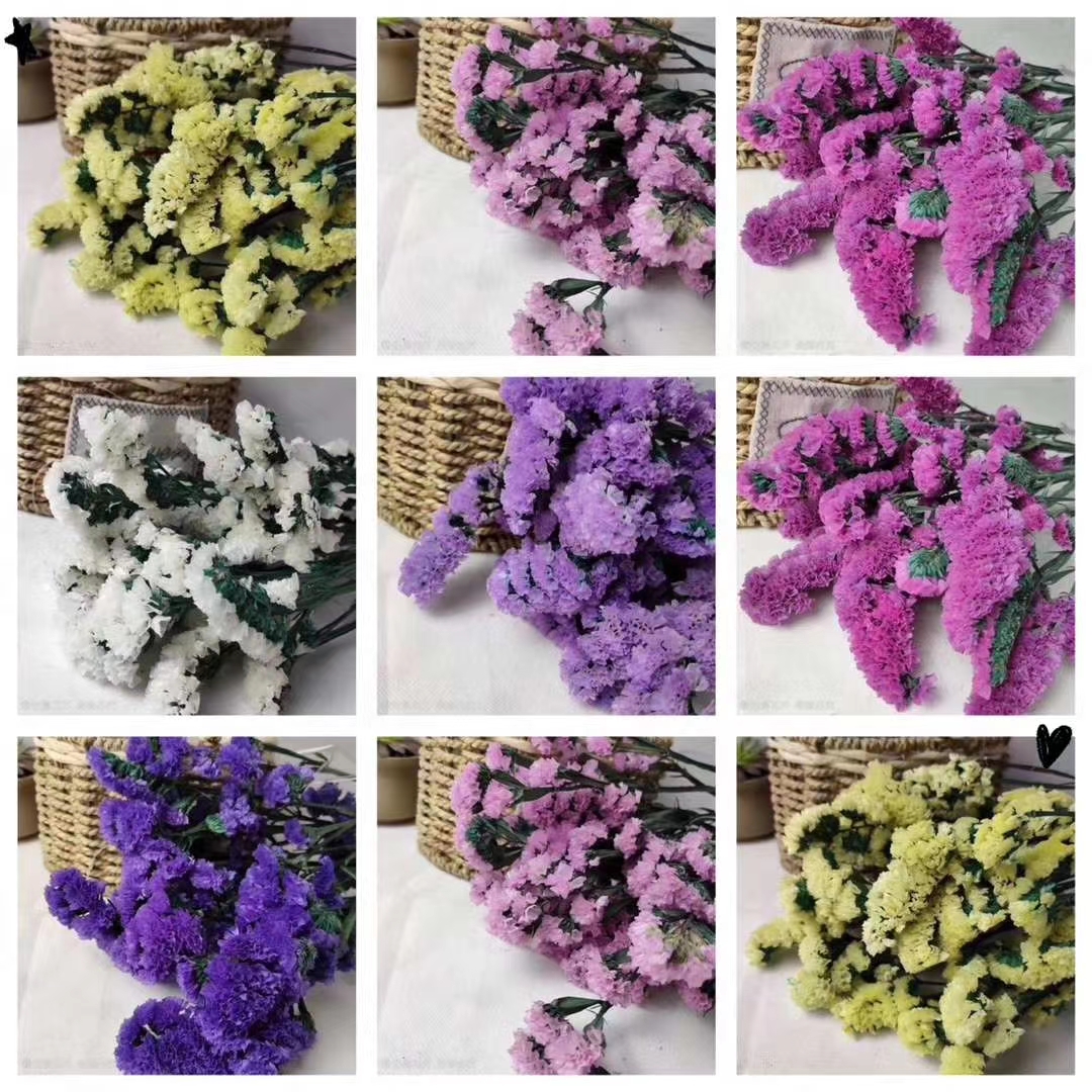 Seco no me olvides flores ramo