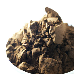 뚱뚱한 가격 차가 버섯 추출물 다당류 유기농 차가 버섯 분말 수출 - Product Image 4