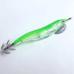 Nouveau leurre lumineux électronique LED pour crevettes, calamar, jig, pêche nocturne, appât pour la basse, accessoire de pêche pour rivière et lac - Product Image 5