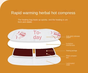 แผ่นประคบร้อนบำรุงมด<span class=keywords><strong>ลูก</strong></span> KMT สำหรับผู้หญิง ผสมวอร์มวูด มัธเธอร์เวิร์ต และขิง - ป้องกันการแพ้และช่วยผ่อนคลาย ชุด 5 ชิ้น - Product Image 3