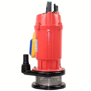 Pompe à eau électrique submersible portable QDX 2 pouces 1hp 750W avec interrupteur flottant
