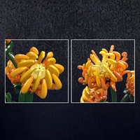 MOULD KING 24118 Briques décoratives en forme de fleurs Jouets pour filles Ensemble de modèles à assembler pour le jardin Blocs de construction Chrysanthème