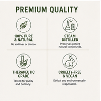 L'huile de sauge est un extrait végétal naturel pur aux propriétés antibactériennes et purifiantes, idéale pour l'aromathérapie et le bien-être.