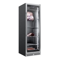 Réfrigérateur à salami SICAO pour affinage à sec, contrôle précis de la température et de l'humidité, machine à salami