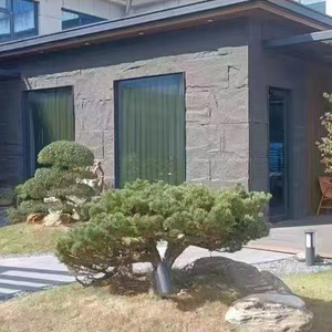 Hiện đại 3D Tường Bảng điều khiển Đá Nhân Tạo Trọng lượng nhẹ leo núi đá không thấm nước và chống cháy nền tường trang trí Bảng điều khiển - Product Image 6