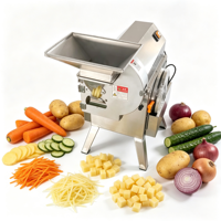 Commerciële multifunctionele aardappelreepjes-snijder, -slicer, -shredder en -dicer voor fruit, groenten, catering en voedselverwerkingslijnen