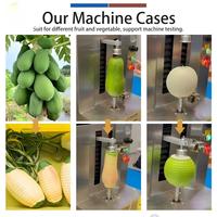 FXP-66S Commerciële Bakkerij Fruit Schilmachine RVS 304 Tafelmodel Papaya Kokosnoot Meloen Ananas Schilmachine