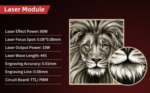 Chuyên nghiệp 10 Wát Laser Engraver với mắt-bảo vệ thiết kế - Product Image 6