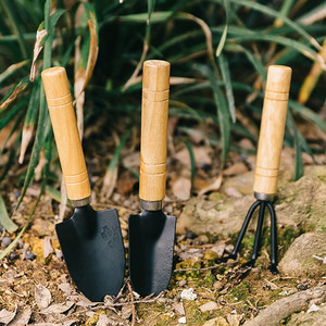 Ensemble d'outils de jardinage en trois pièces, manche en bois, râteau pour fleurs, petite <span class=keywords><strong>pelle</strong></span>, <span class=keywords><strong>mini</strong></span> houe pour la plantation de légumes et de plantes succulentes - Product Image 2