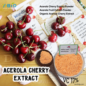 Tự nhiên 1kg Acerola <span class=keywords><strong>Cherry</strong></span> lá chiết xuất 17% Vitamin C thực phẩm/mỹ phẩm lớp có thể đóng gói thảo dược bột màu trắng bổ sung - Product Image 5