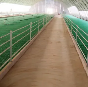 Plastic sheep slat flooring for goat shed farm