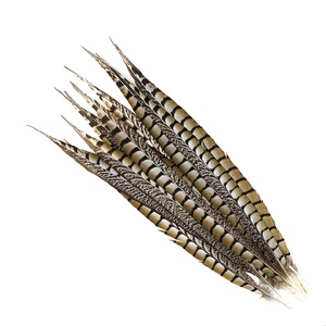 Plumas Naturales Marrones de Cola Larga, <span class=keywords><strong>Pluma</strong></span> Artificial de Faisán para Fiestas, Carnaval, Decoración del Hogar, Bodas, Jarrones, Manualidades, Disfraces - Product Image 2
