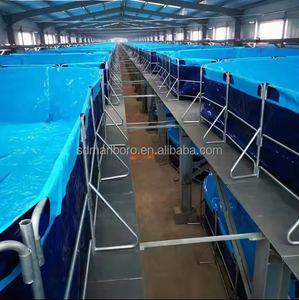 Tanque de piscicultura plegable de lona para pecera Biofloc recubierto de PVC azul para granjas de acuicultura - Product Image 2