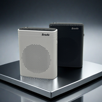 Haut-parleur portable léger de 3 pouces pour professeur de classe avec microphone Enregistreurs vocaux numériques Amplificateur de signal