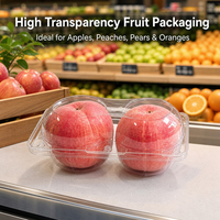 Boîte d'emballage en plastique PET transparente de qualité alimentaire à 2 compartiments pour la présentation de fruits frais en supermarché