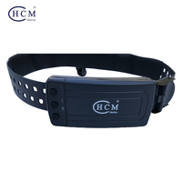Phare ORL Microchirurgie Loupes compétitives Colonne vertébrale binoculaire Médical LED Phare Chirurgie Chirurgie Phare Dentaire