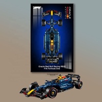 Cadre photo mural en métal pour blocs de construction 42206 Red Bull RB20 et 42207 F1, panneau de fond pour présentation de blocs de construction