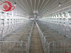 Peralatan Pertanian Babi Galvanis Peti Kehamilan/Kios untuk Babi - Product Image 4