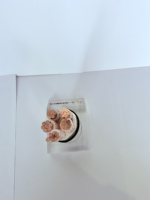 Kupferdraht Vernetztes Polyethylen Isoliertes YJV-Kabel Großhandel 2/3/Adern 4 mm2 6 mm2 10 mm2 16 mm2 25 mm2 35 mm2 50 mm2