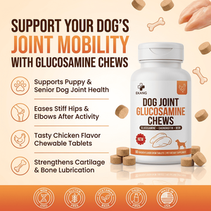 Comprimés à mâcher pour chiens en gros sous marque privée, 3-en-1 Glucosamine Chondroïtine MSM, saveur poulet naturelle, sans OGM, supplément pour les hanches - Product Image 1