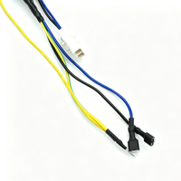 Kabel Harness Multi-End dengan Konektor Campuran, Terminal Spade & Ring Lugs untuk Peralatan Rumah Tangga & Unit Kontrol Elektronik