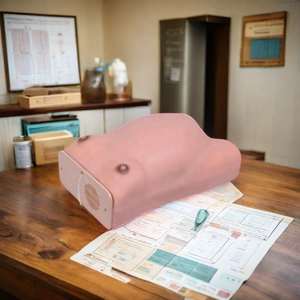 Modelo de examen de maternidad avanzado DARHMMY para entrenamiento en obstetricia y ginecología - Product Image 2