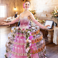 LiqVis Présentoir lumineux LED pour bouteilles, Mur de champagne, Robe tutu, Plateau lumineux pour artiste, Service de table VIP pour mariage