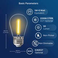 Ampoules LED à filament S14 étanches pour extérieur, 120V, équivalent 5 watts, 1W, 50lm, 2200K, culot E26, pour guirlandes lumineuses de jardin et de terrasse