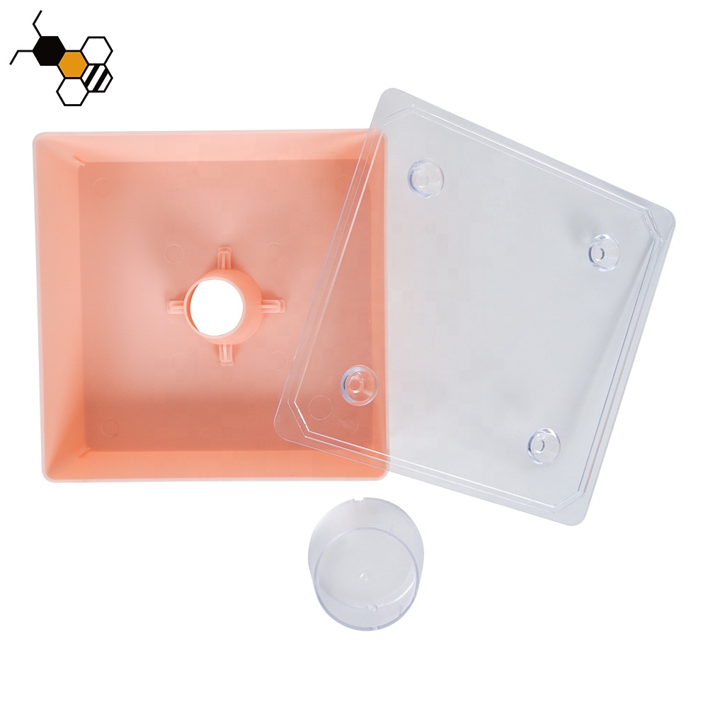 the bees transparent water feeder is one liter