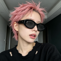 Lunettes de soleil ovales personnalisées de luxe en acétate 2026 pour hommes – Design moderne, style hip-hop, petites lunettes œil-de-chat polarisées