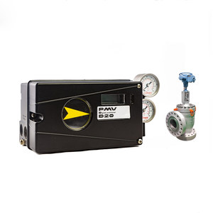 Posicionador de Válvula Flowserve PMV D20 con Wuzhong China - Product Image 5
