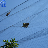 Filet de capture d'oiseaux en nylon de 30 mm 35 mm, piège à pigeons, filet anti-oiseaux avec quatre poches, 20 m * 2,5 m, filets de brouillard multiples pour la chasse aux oiseaux