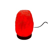 Petites lampes au sel de l'Himalaya cristal de roche naturel énergie négative lumières à intensité variable pour la décoration intérieure cadeau de vacances