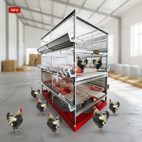 Nouveau poulailler automatique complet de type H/A, écologique, durable, à prix compétitif, avec grand moteur, en acier Q235 de haute qualité