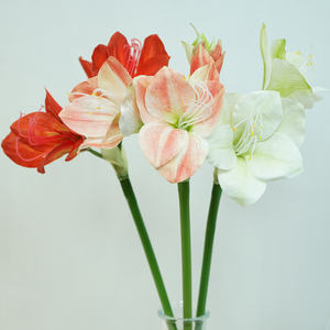 Fleur d'amarille artificielle en PU de 53 cm de hauteur, blanche, <span class=keywords><strong>rose</strong></span> et rouge, pour la décoration de mariage, de Noël et de Pâques, vente en gros IFG - Product Image 3