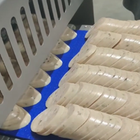 Trancheuse commerciale pour viande cuite et fumée, trancheuse à viande fraîche, trancheuse à saucisses épaisses