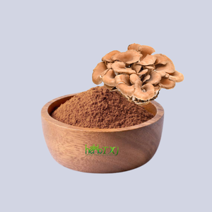 순수 천연 그리폴라 프론도사 추출물/마이타케 버섯 추출물 분말 10%-50% 다당류 - Product Image 1
