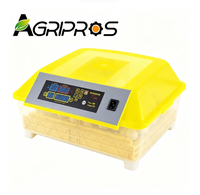 Nouvel incubateur automatique 48 œufs PP 220V pour poulets et oiseaux, couveuse transparente portable pour l'élevage domestique de volailles