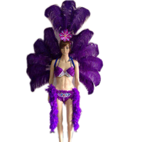 Costumes de samba violet/costumes de carnaval samba/costume sexy