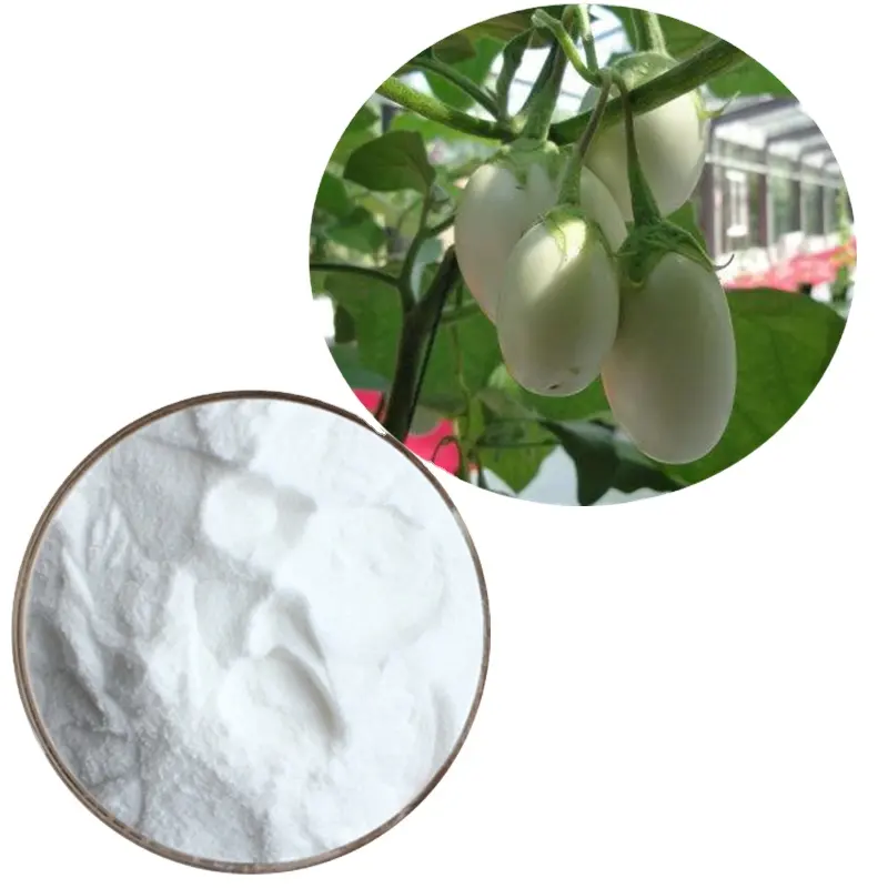 100% Natural and Organic Fruit&Vegetable Powders For Whitening Crystal Tomato Colorless Carotenoids